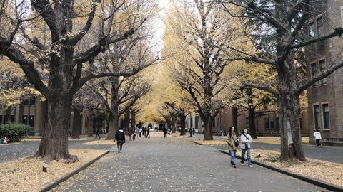 東京大学1